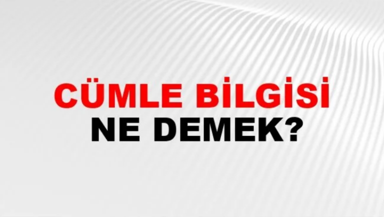 cümle bilgisi