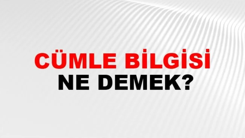 cümle bilgisi