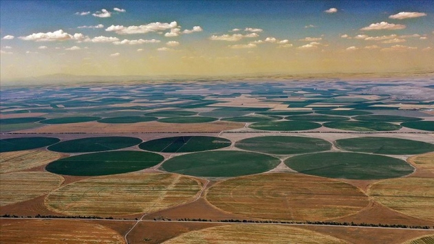 konya ovası